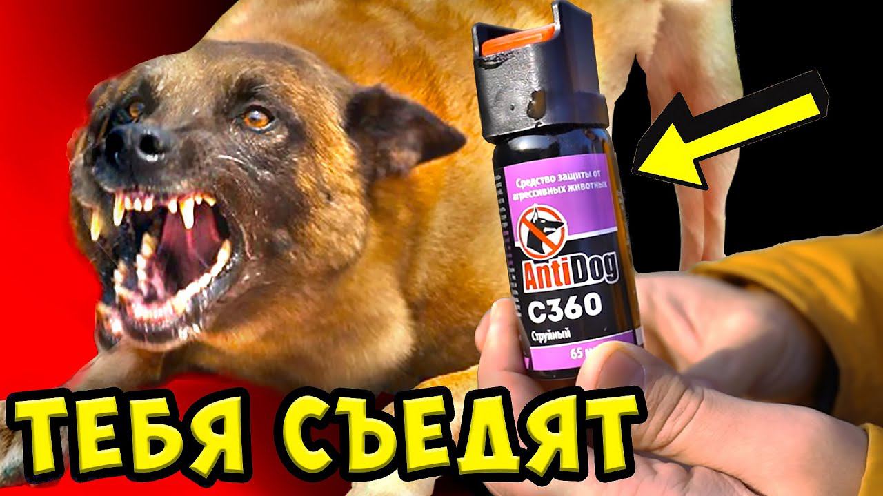 Газовый перцовый баллончик для защиты от собак НЕ РАБОТАЕТ! Это НЕ способ самозащиты!