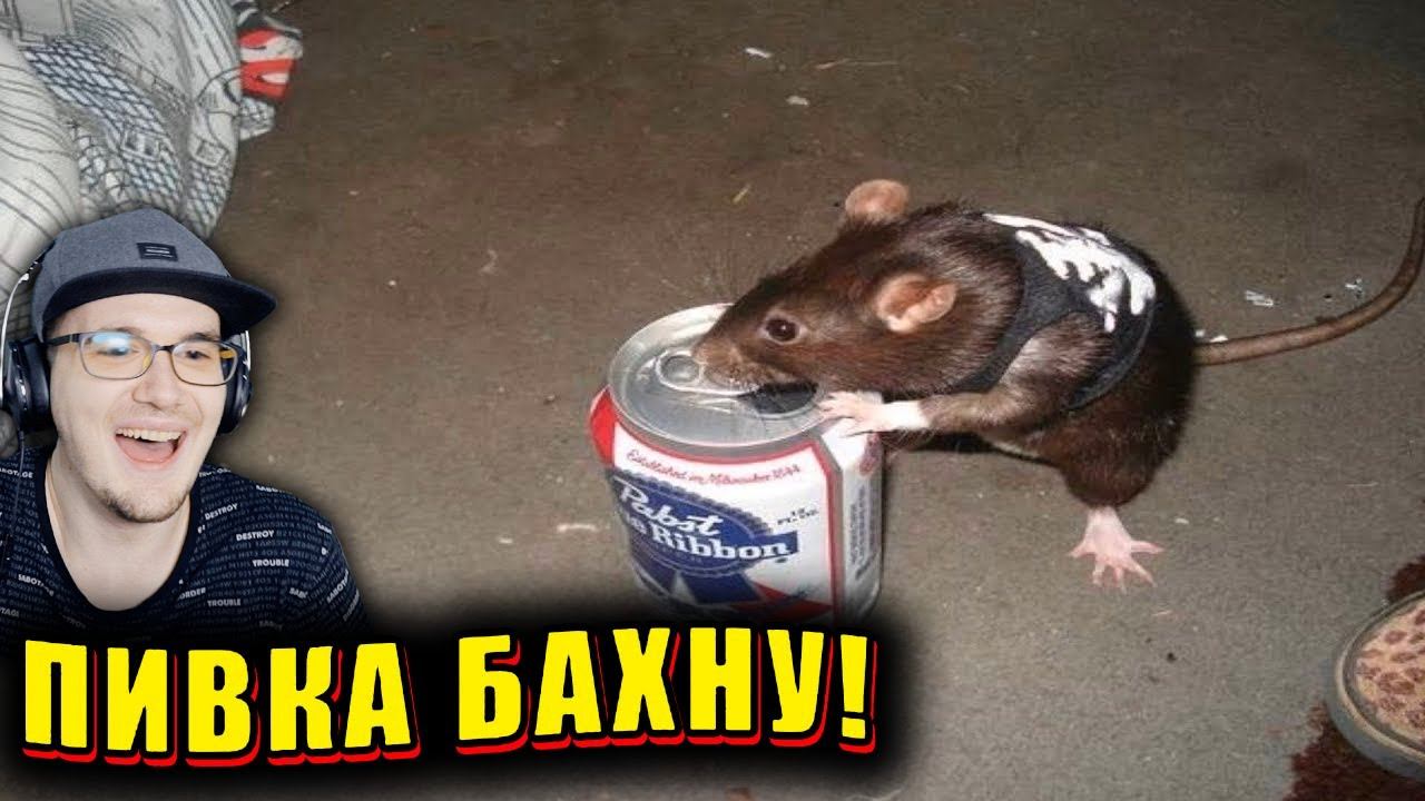 ЗАСМЕЯЛСЯ - ПРОИГРАЛ ► ЛУЧШИЕ ПРИКОЛЫ ( УЛЫБНУЛИСЬ ПРОИГРАЛИ СОЮЗ СМЕХА ) | Реакция