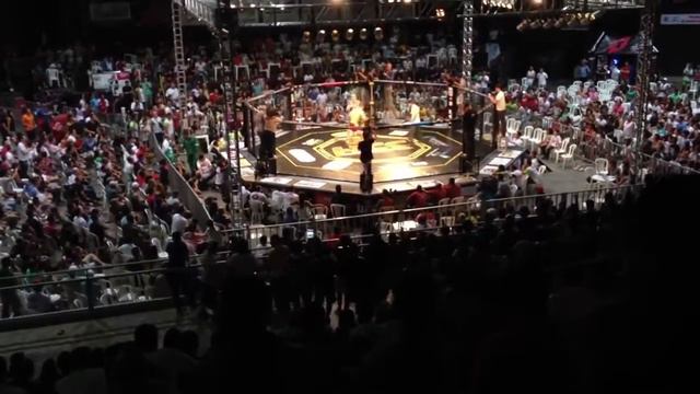 Mata - leão MMA