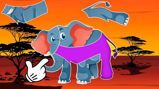 Животные Африки 🐫🐘🦁  Развивающие мультики для детей + видео про животных