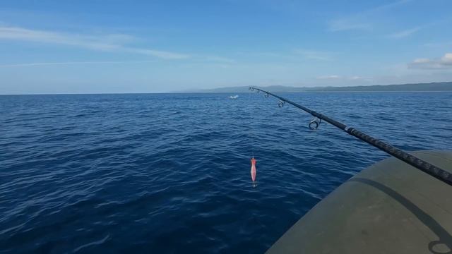 САХАЛИН! ТУНЕЦ на жереховую приманку! Bluefin tuna.
