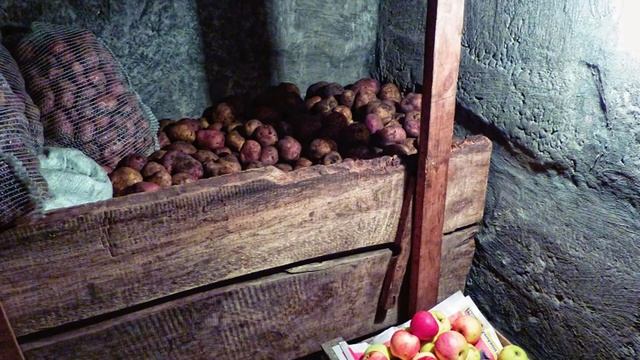Как хранить картошку в погребе