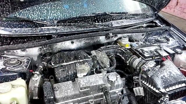 Как правильно мыть двигателя на автомобиле Лада Гранта.