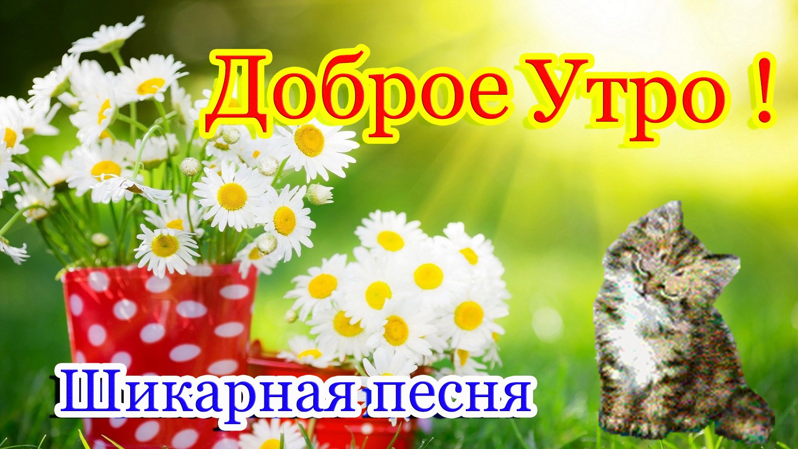 Доброе Утро!С Добрым Утром! Красивое пожелание доброго утра и хорошего дня! Обалденная песня.