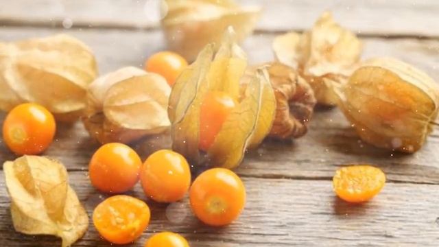 Как Выращивать Физалис из Семян в Домашних условиях