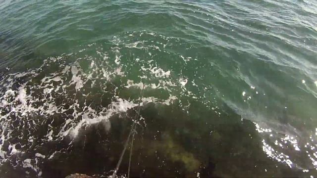 Ловим саргана  на Черном море.Основы ловли на спининг)