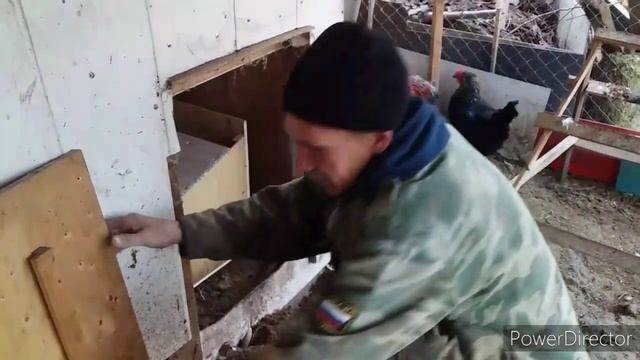 Правильные Гнёзда для Кур, Залог Отличной Яйценоскости /Сколько Гнёзд Нужно для Кур/Удобный Курятни