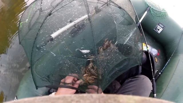 Ловля раков на китайские раколовки. Тест лучшей раколовки-зонтик