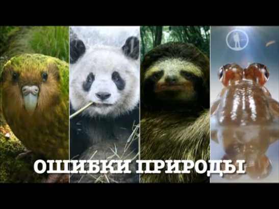 BBC. Ошибки природы