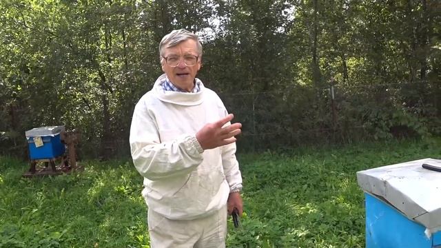 Пчелиный напад на пасеке. Что делать. Эффективное приспособление от напада