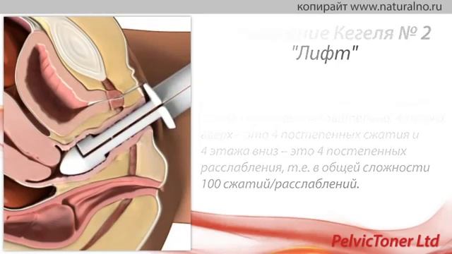 Упражнения Кегеля для женщин по секундам.mp4