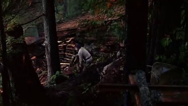 Золотая жила (Главная жила, Золотоносная жила)1982