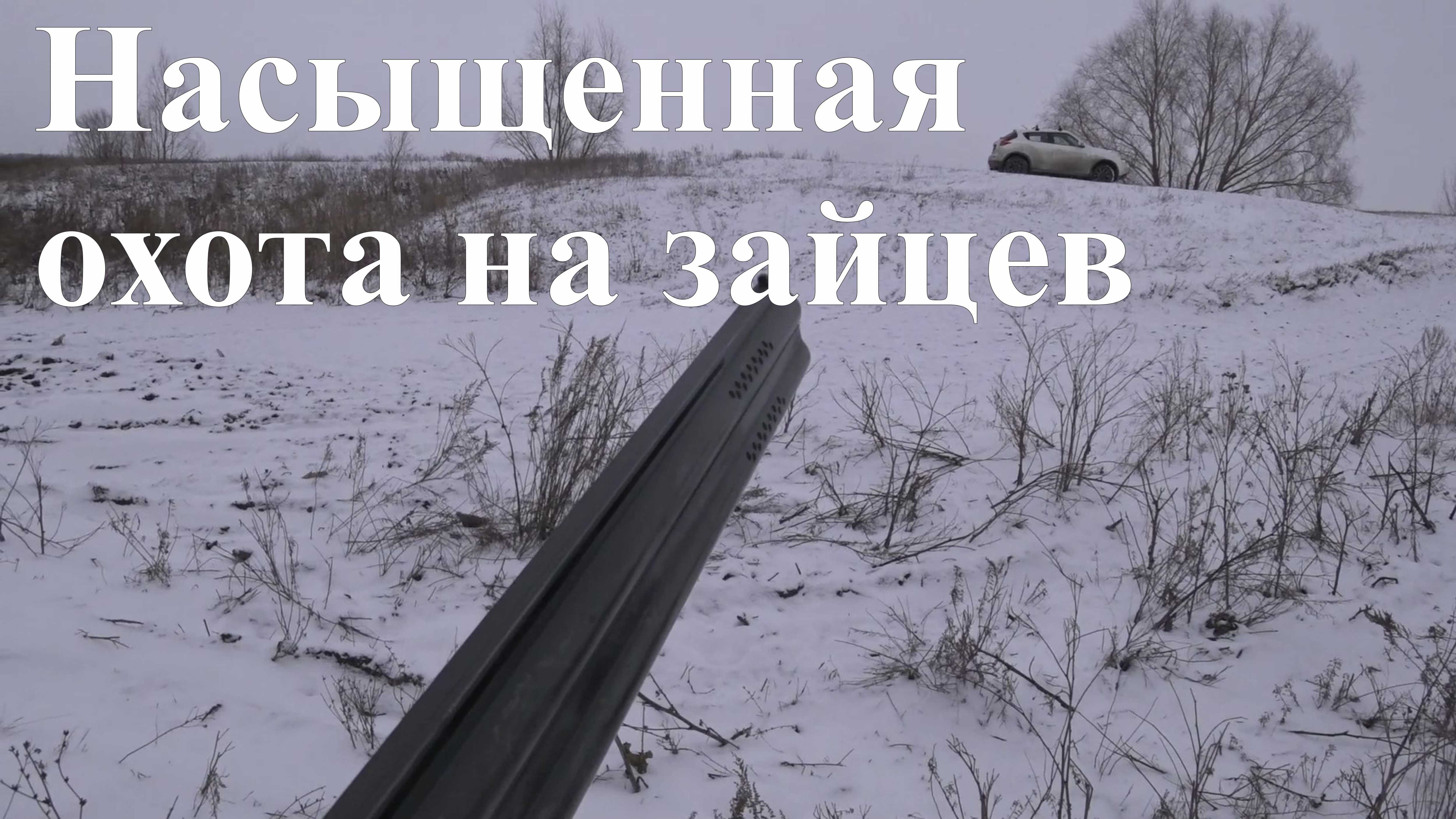 Насыщенная охота на зайцев