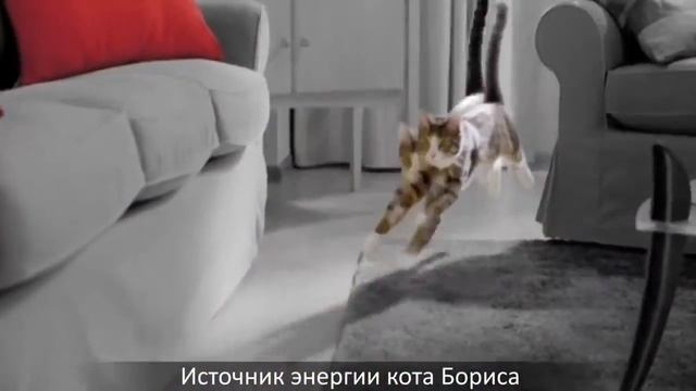 Китикет нашёл