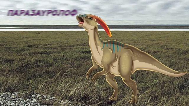 Динозавры Супер Макси ДеАгостини (Dinosaurus Super Maxx DeAgostini) обзор от Зверушки на Опушке