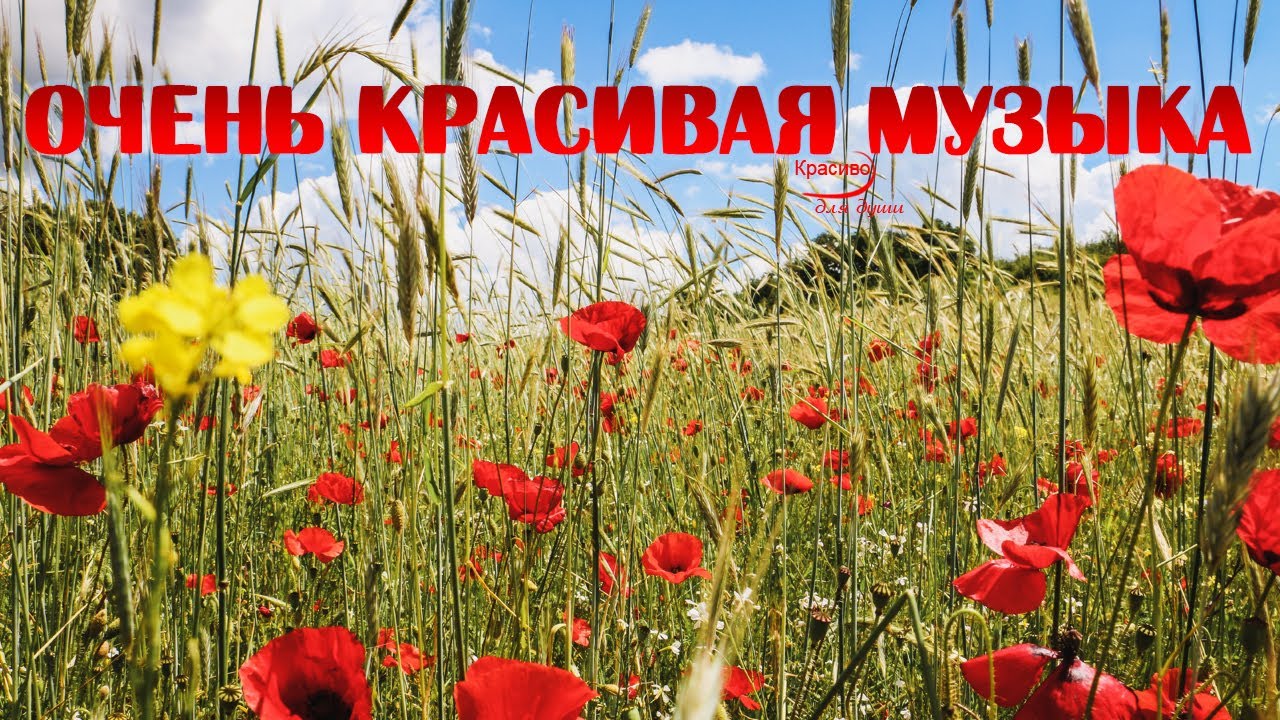 Очень Красивая Мелодия Наполненная Светом и Любовью! Красивая природа!
#красивая #музыка #медитация