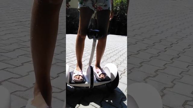 Инструкция как кататься на сигвее