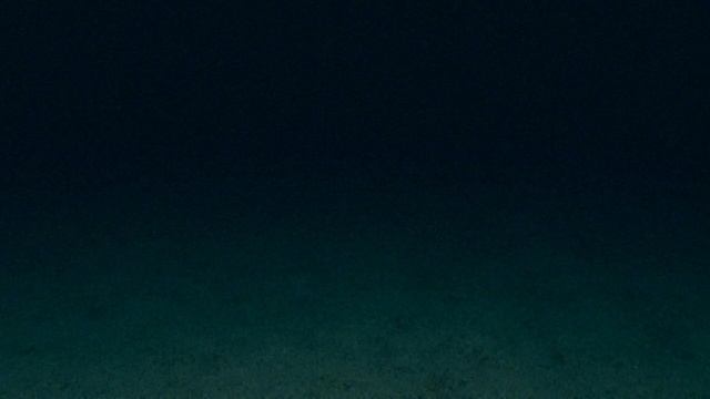 Голубая Планета: Моря Жизни 2 серия «Бездна» (документальный сериал, 2001)