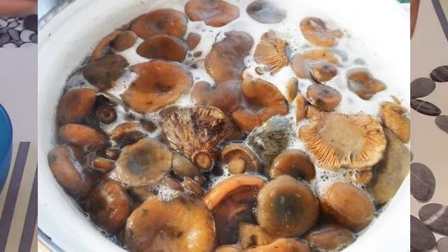 ЗАСОЛКА РЫЖИКИ НА ЗИМУ ГОРЯЧИМ СПОСОБ