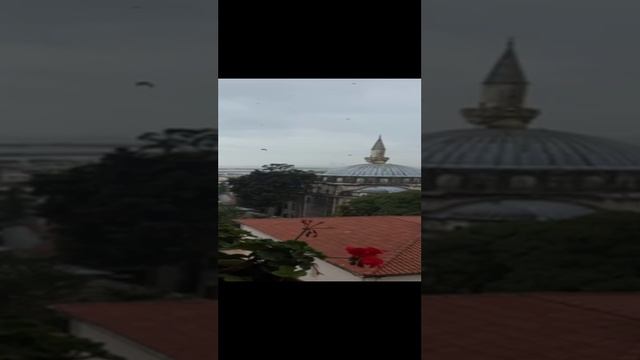 красота