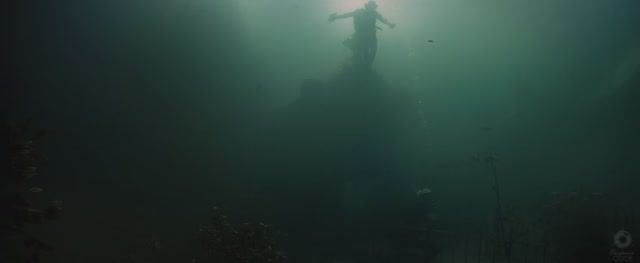 Triticum - The Spell (widescreen 19:8)