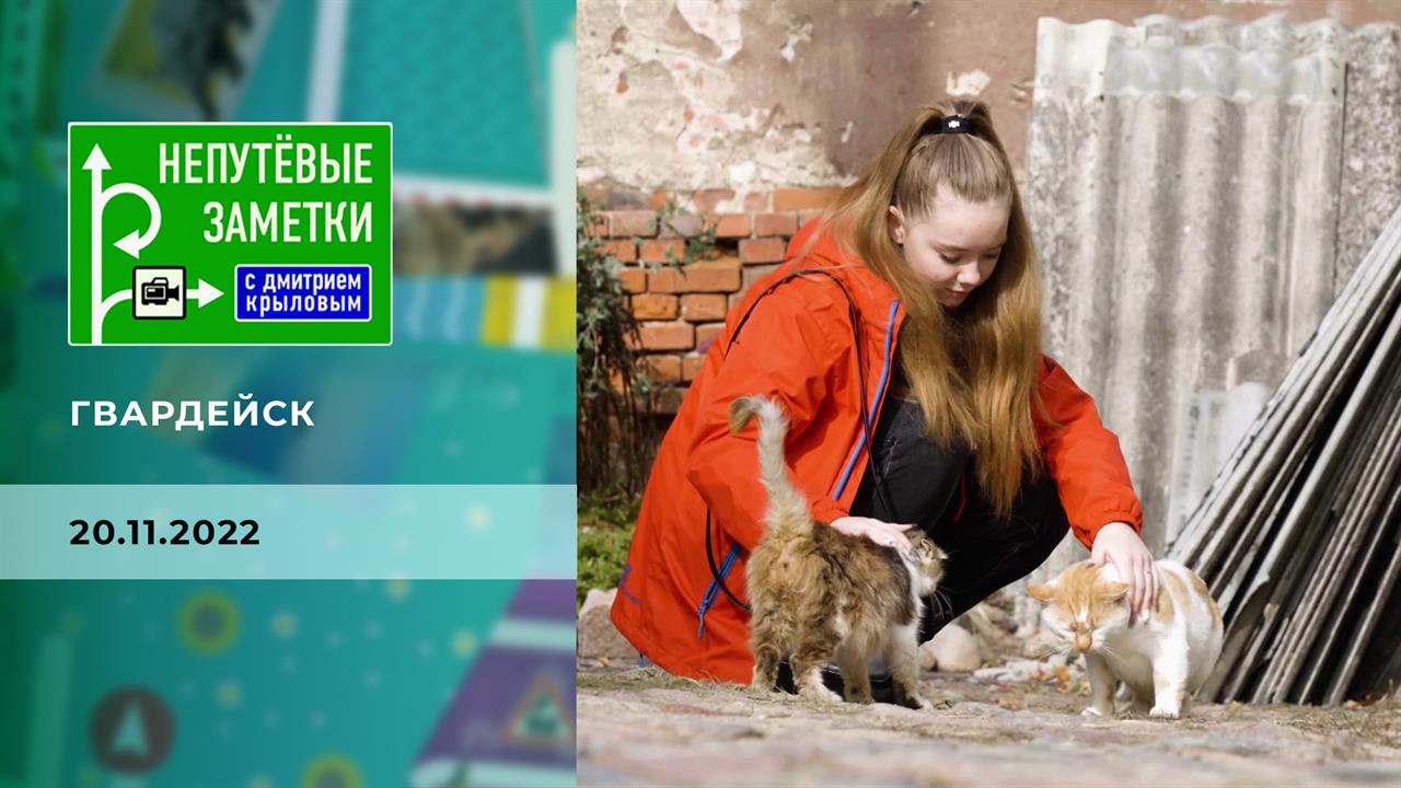 Гвардейск. Непутевые заметки. Выпуск от 20.11.2022