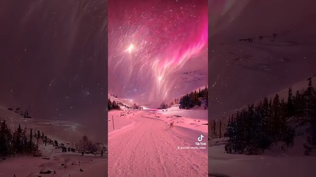 красота