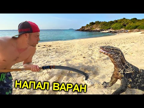 ✅Напал ГИГАНТСКИЙ ВАРАН ? Выживание на НЕОБИТАЕМОМ ОСТРОВЕ в Тихом океане !!! День первый.mp4