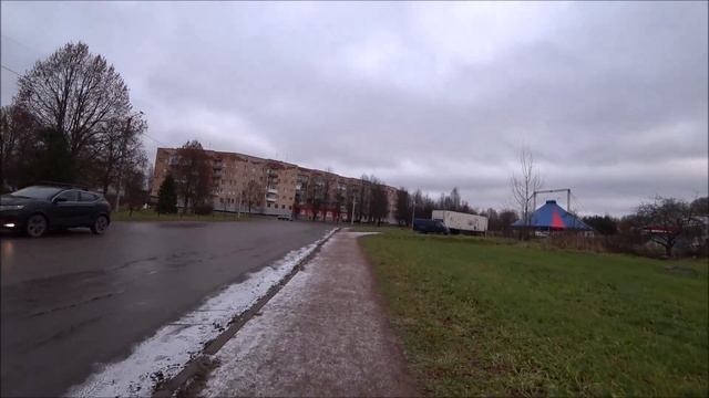 354. К маме с подарками от Марины. Цирк приехал, как это было в Гоа? Посылка от Елены с картиной.