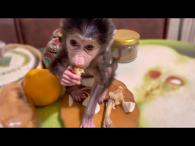 Люся ест КОСТИ и ЛУК! Совсем обезьянку не кормят!
