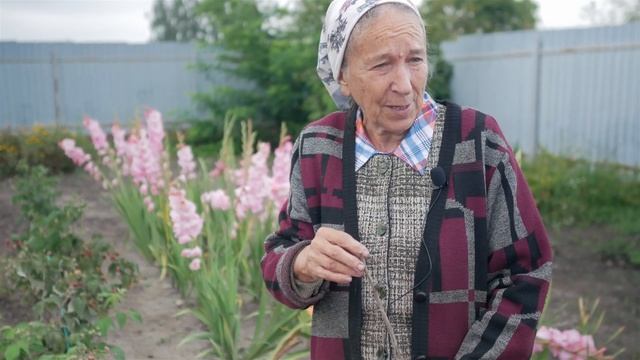 Когда посадить малину. Лучшее время посадки малины.