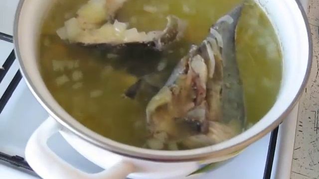 Уха из осетра. Рецепт ухи из осетра пошагово. Как приготовить уху ВКУСНО И БЫСТРО © Irina Zhukova