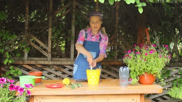Как укоренить любую розу. Укоренение розы из букета. Укоренение черенков розы Способ укоренения роз