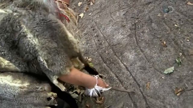 Загадки планеты земля