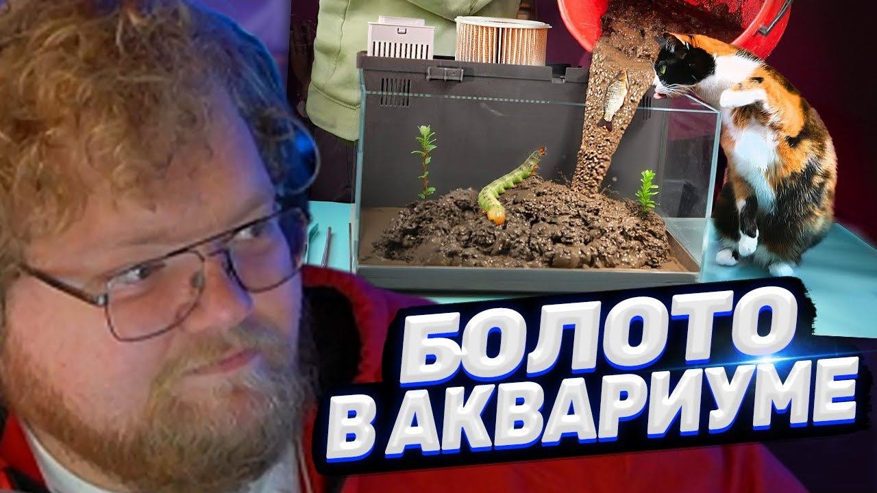 ТОХА T2x2 СМОТРИТ: БОЛОТО В АКВАРИУМЕ ИЗ БУДУЩЕГО - ДЕНЬ 1