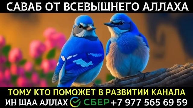 ДУА ДЛЯ ИСПОЛНЕНИЯ ЖЕЛАНИЙ НА КАЖДЫЙ ДЕНЬ СЛУШАЙТЕ КОРАН !!