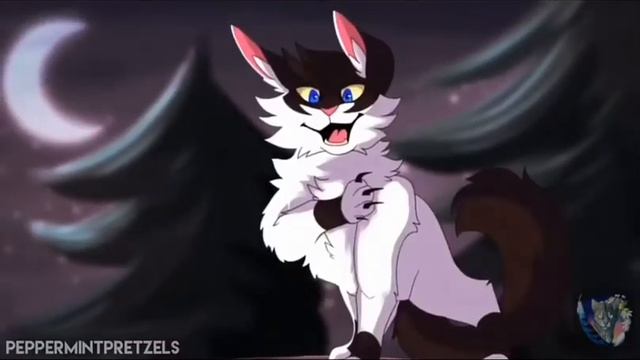 КОТЫ ВОИТЕЛИ | клип-темнохвост (не мое)