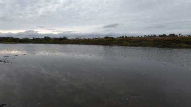 ЩУКИ МОНСТРЫ КИДАЮТСЯ НА СПИННИНГ. ЧУКОТКА
