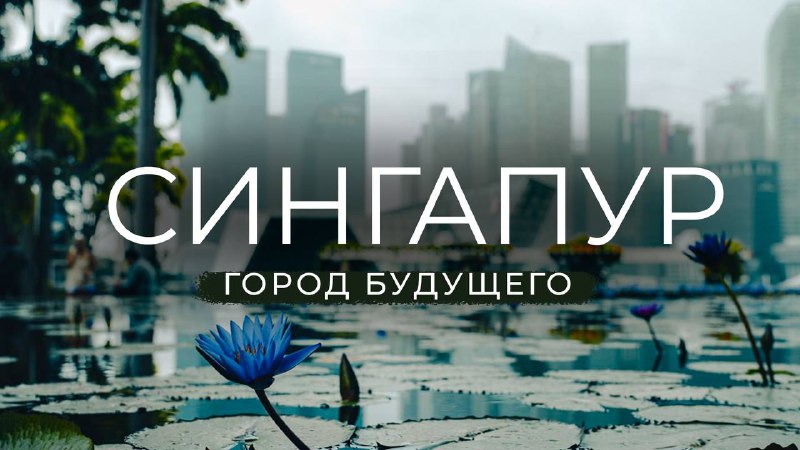 СИНГАПУР ― ГОРОД БУДУЩЕГО? Символы Сингапура, достопримечательности и портовая жизнь города|Часть 1