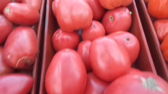 УНИКАЛЬНЫЙ СИБИРСКИЙ ТОМАТ БАТЯНЯ. Ольга Чернова.