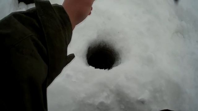 крупная плотва весной, кандры-куль,28.03.18, tmz fishing