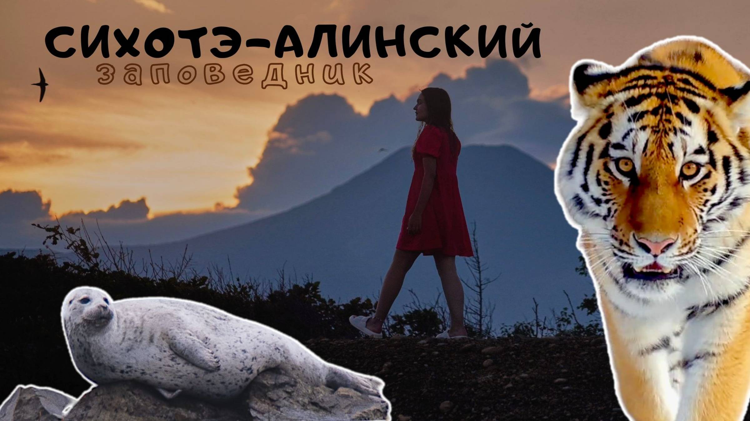 Земля амурских тигров. Сихотэ-Алинский заповедник