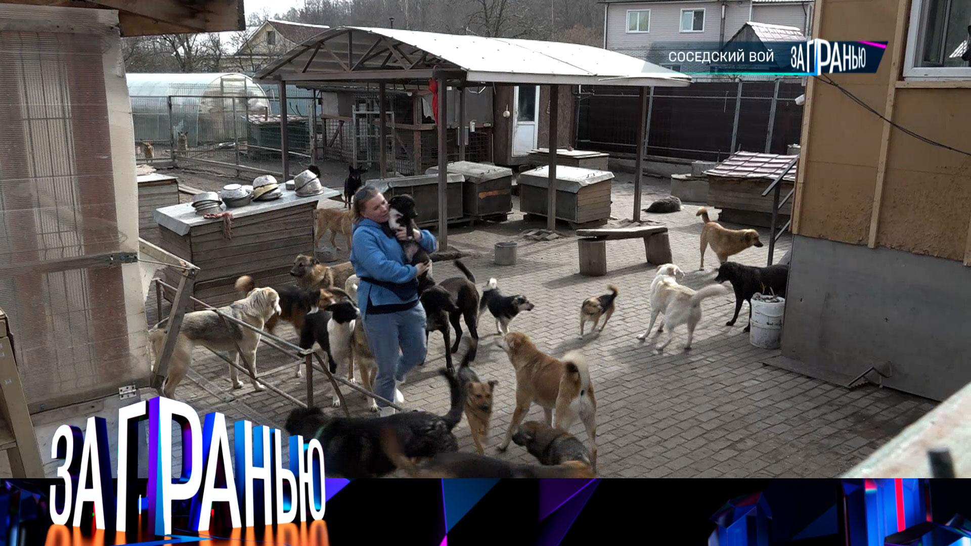 «За гранью»: «Соседский вой» | Выпуск от 22 апреля 2024 года
