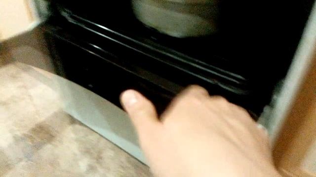 Разборка для чистки дверцы духовки газовой плиты.