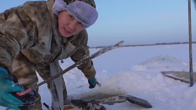 НаЛиМы реки ВиЛюЙ! Зимняя рыбалка в Якутии. FULL HD! 06.12. 22г.
