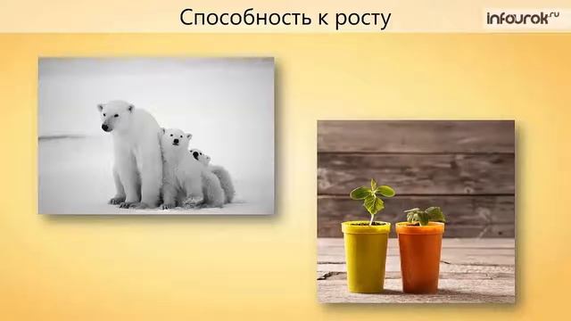 Зоология — наука о животных   Биология 7 класс #1   Инфоурок