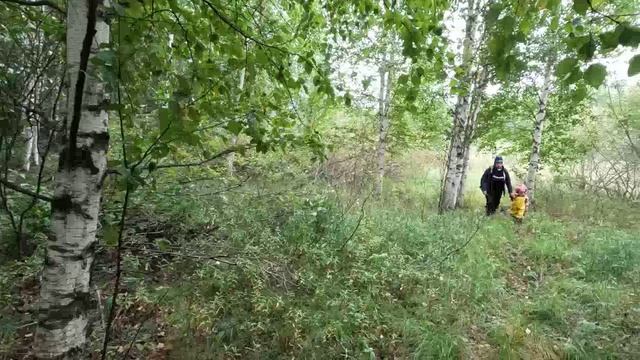Куда перед школой и детским садом В тайгу #1