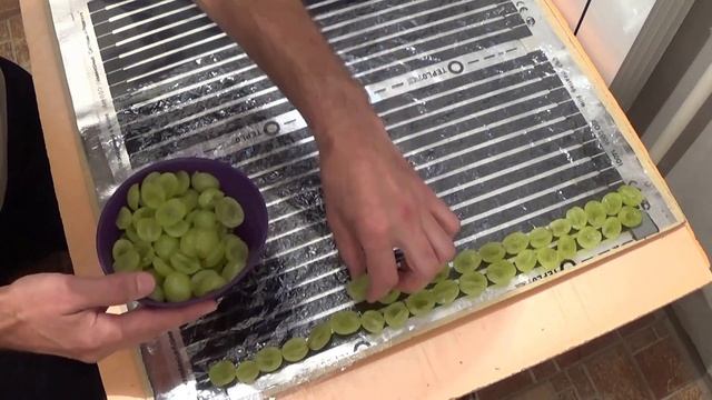 Изюм в домашних условиях. Как я сущу виноград