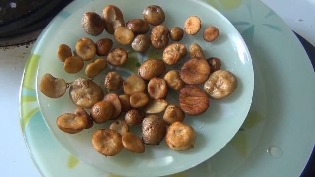 Гриб дождевик / Как готовить дождевики / как приготовить дождевики