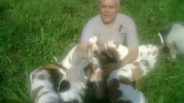Нашим Черничникам в день их Рождения, подарок!